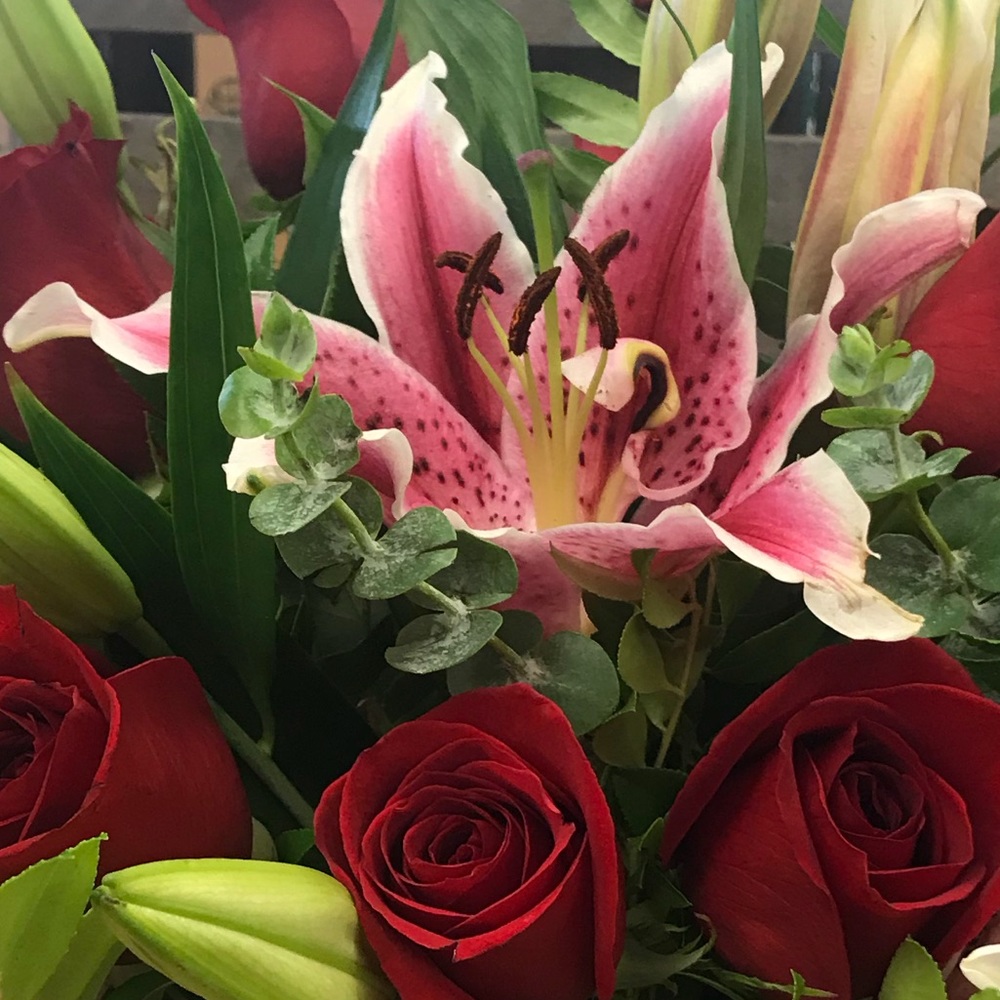 Meet your Posher, Miriam